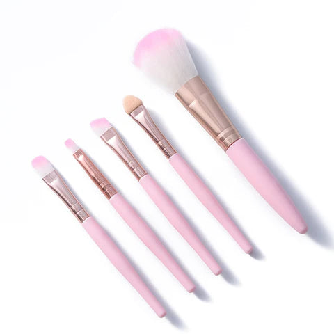 Seycart's 5pcs Makeup Brush Set