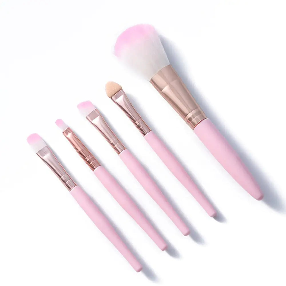 Seycart's 5pcs Makeup Brush Set