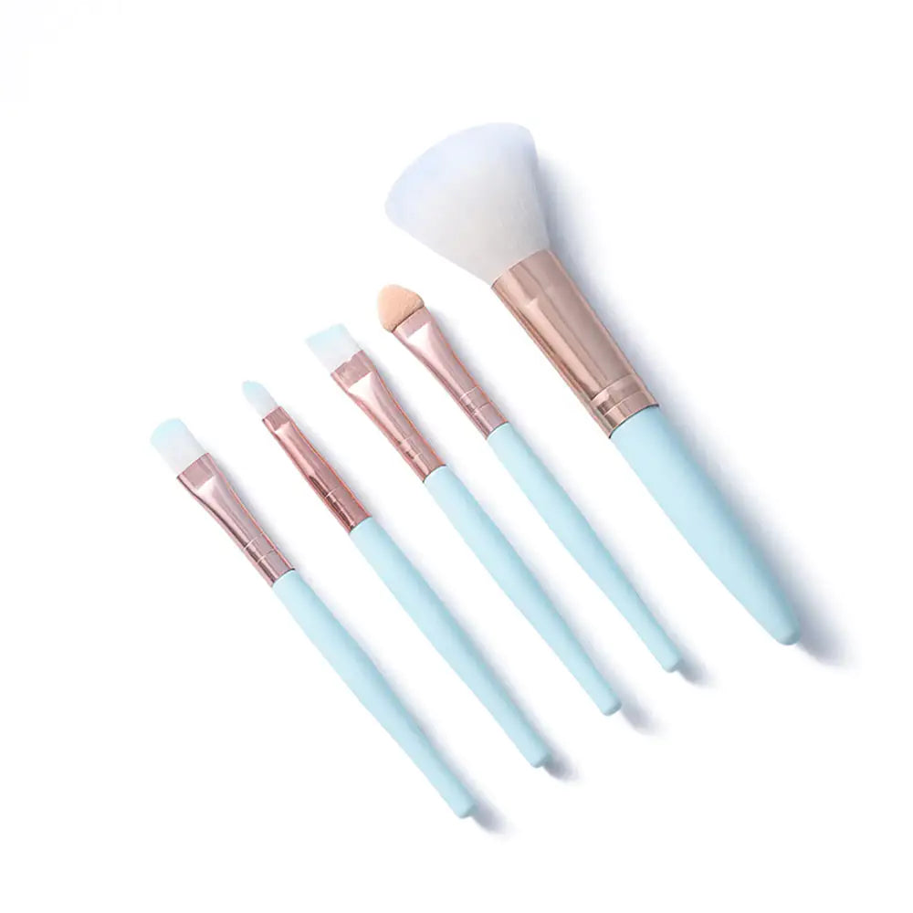 Seycart's 5pcs Makeup Brush Set